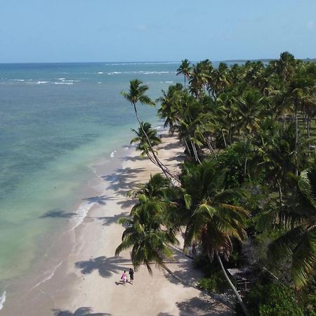 Hotel Pousada Boutique Coco Bambu Morere Exterior foto